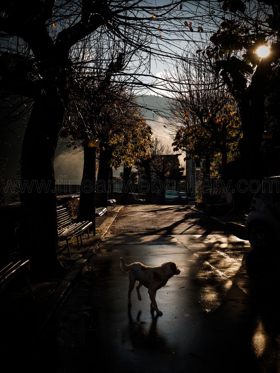 Max Angeloni - Going around 03