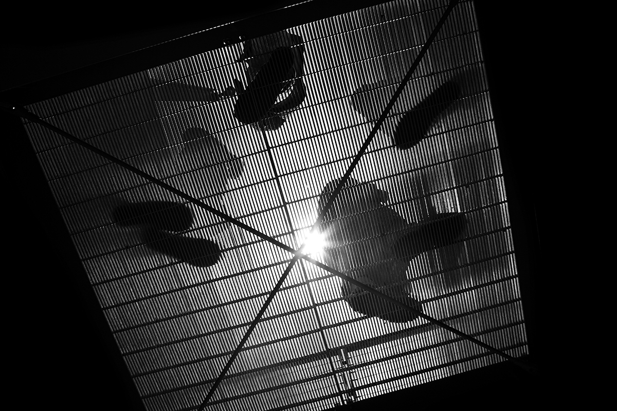 New York Impressions 005