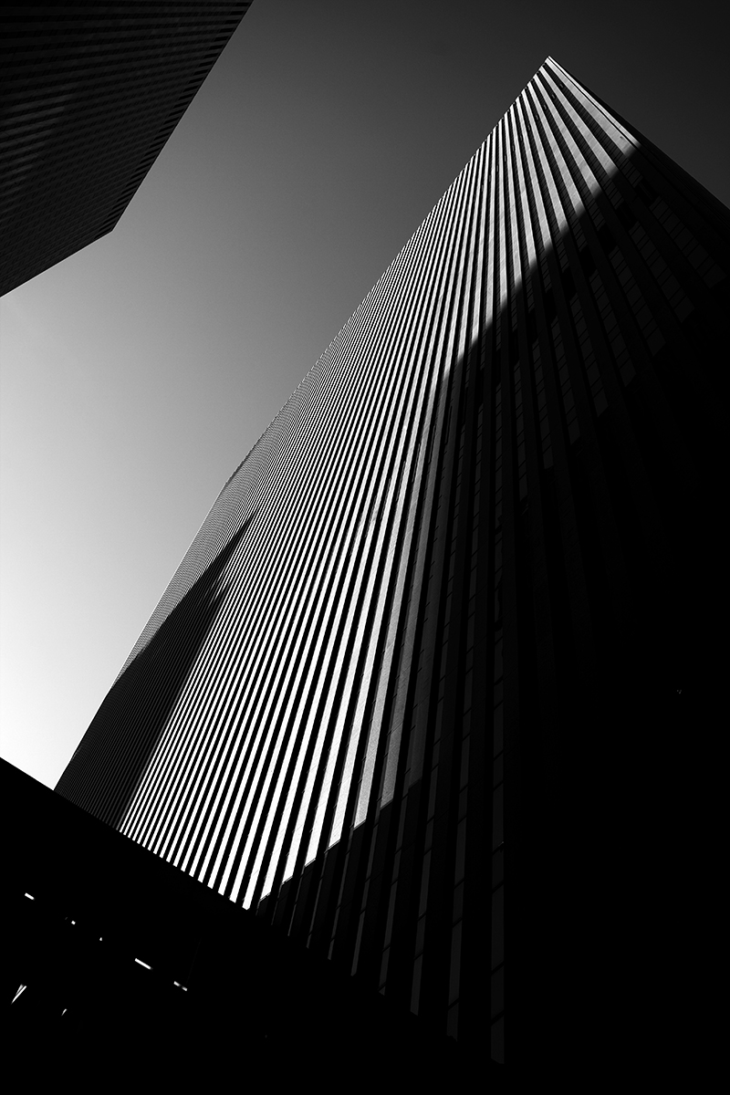 New York Impressions  006